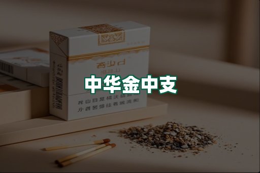 中华金中支